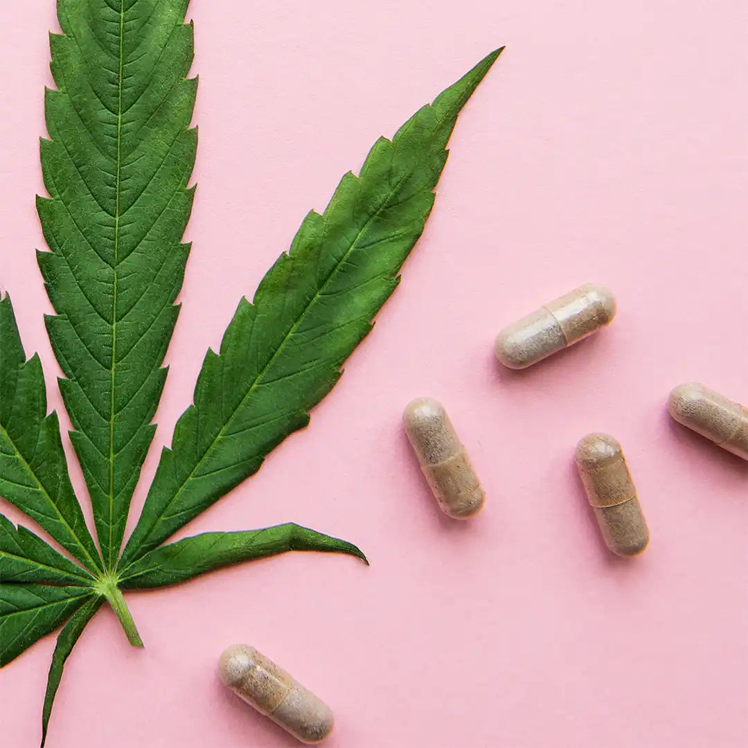 Cannabis leaf alongside several pill capsules.