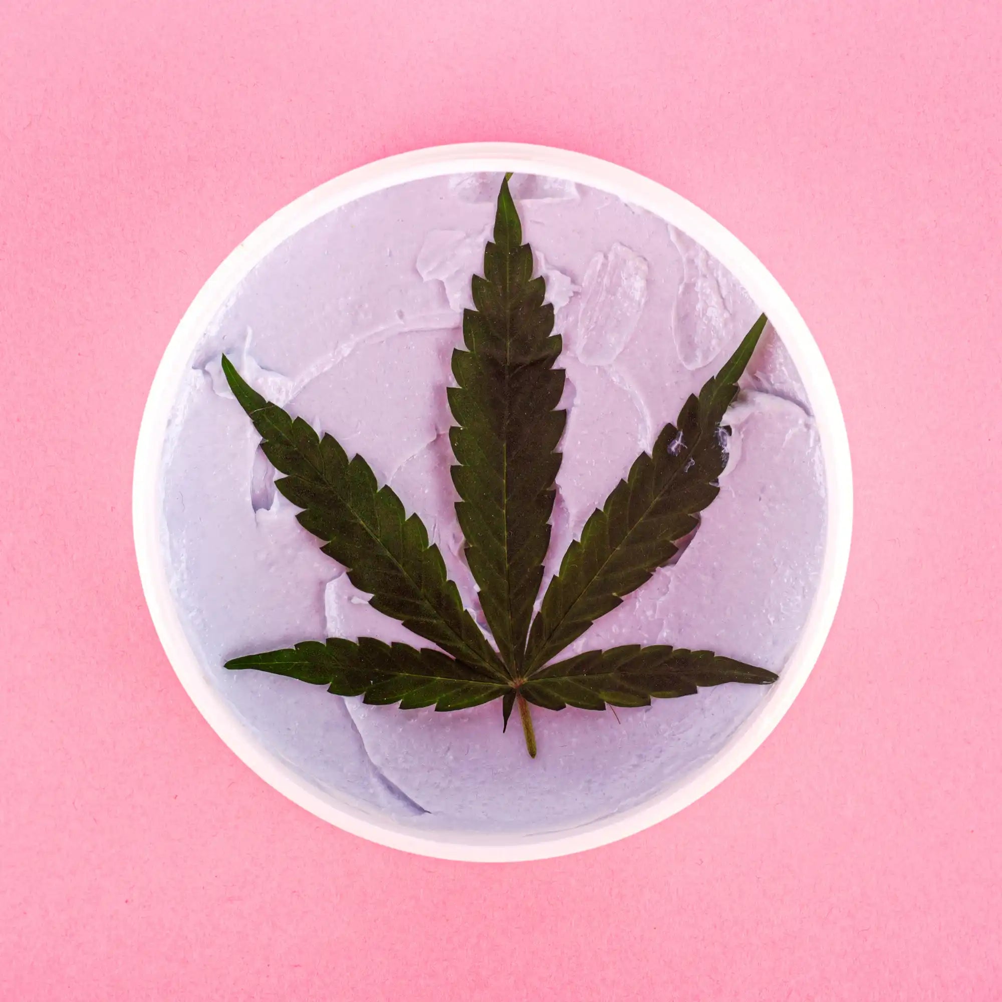 Cannabis leaf pressed into a circular white surface.