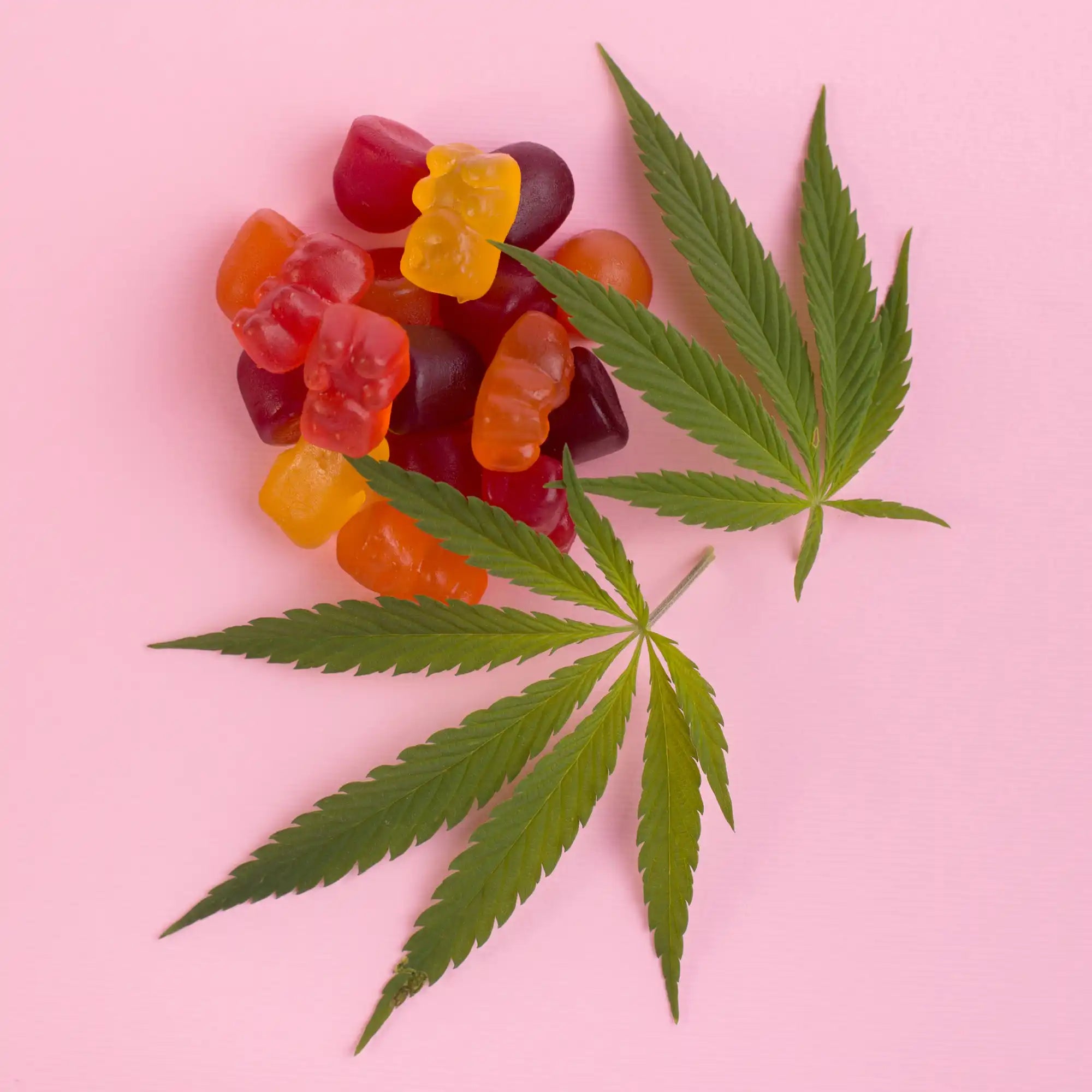 Cannabis leaves alongside colorful gummy candies.