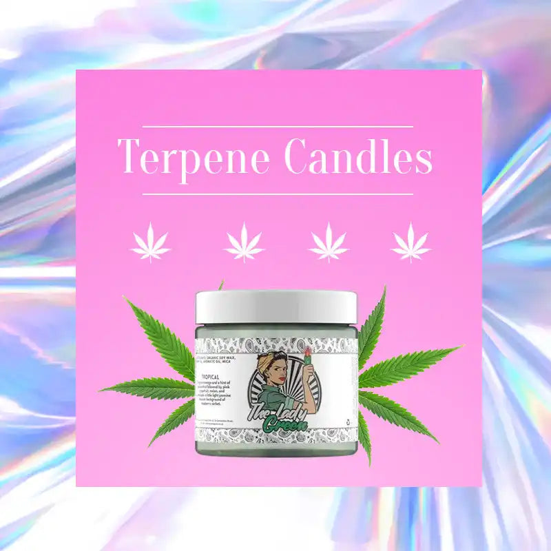 Jar of cannabis-infused candle with marijuana leaf imagery and ’Terpene Candles’ text.