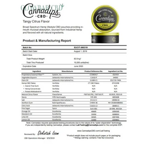 Cannadips 150mg CBD Snus Pouches - Tangy Citrus - CBD